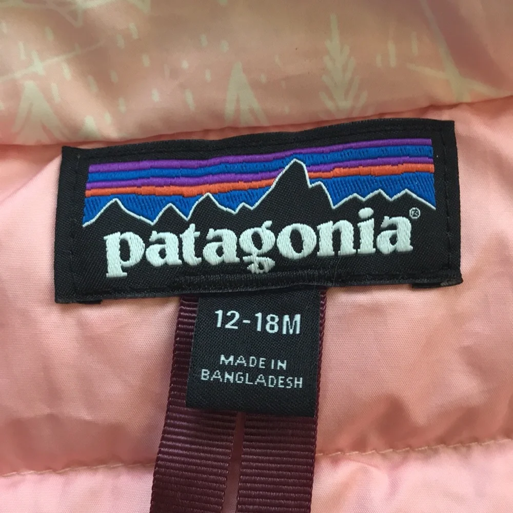 Patagonia Puffer Jacket (size 12-18m)